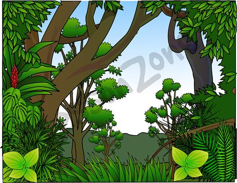 Rainforest clipart natural environment. Lesson zone 
