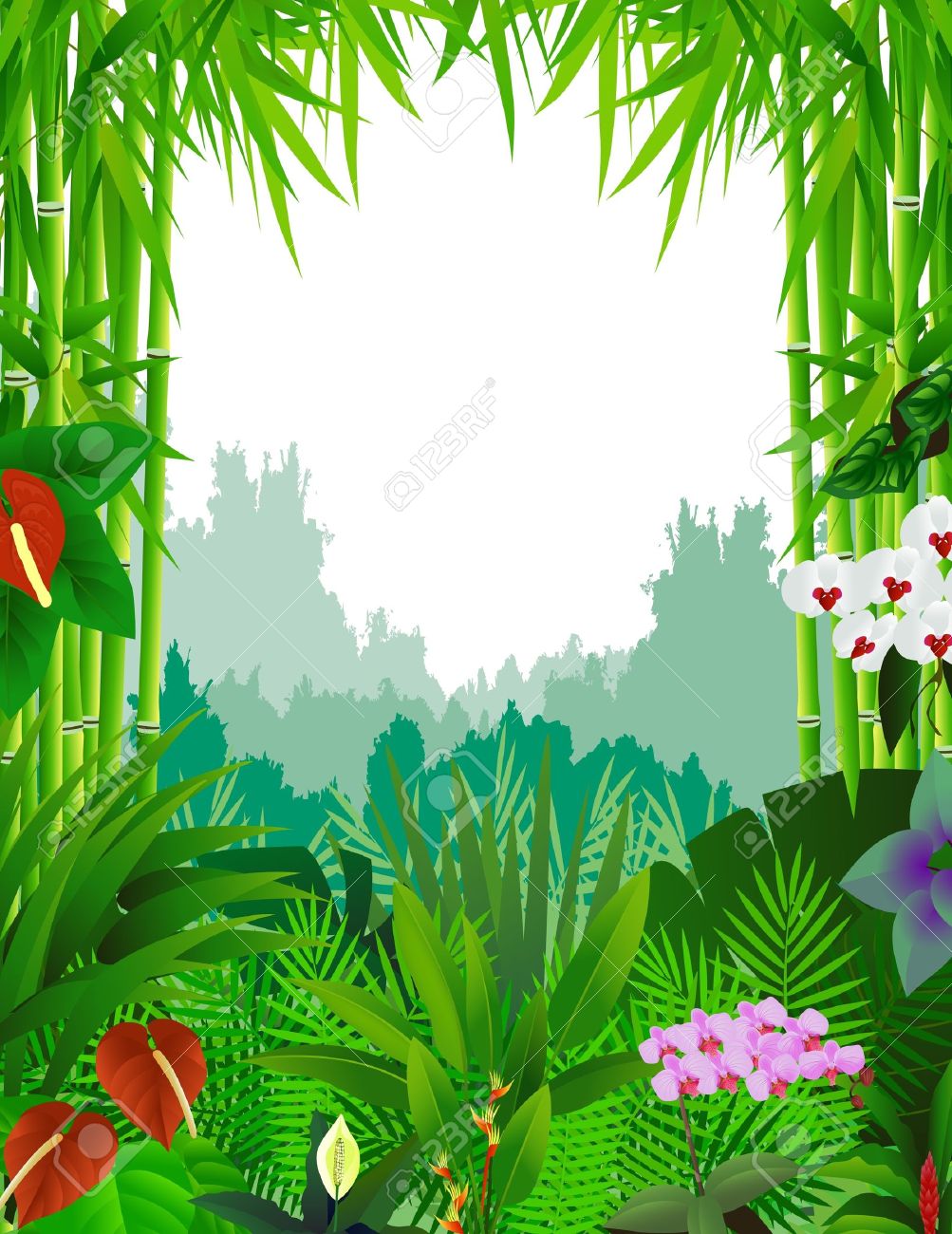 rainforest clipart nature background