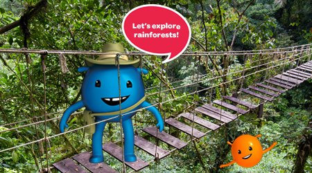 rainforest clipart physical geography