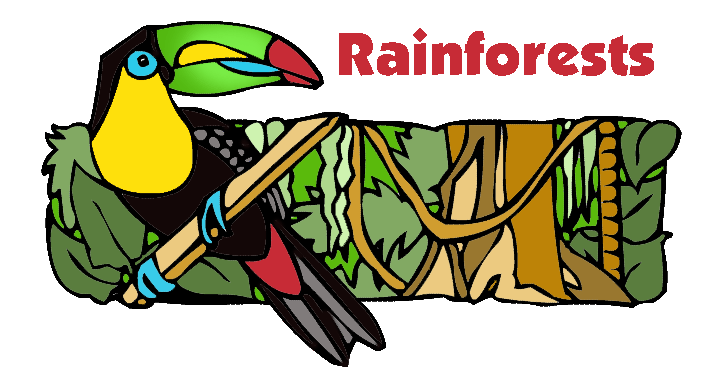 rainforest clipart rainforest biome