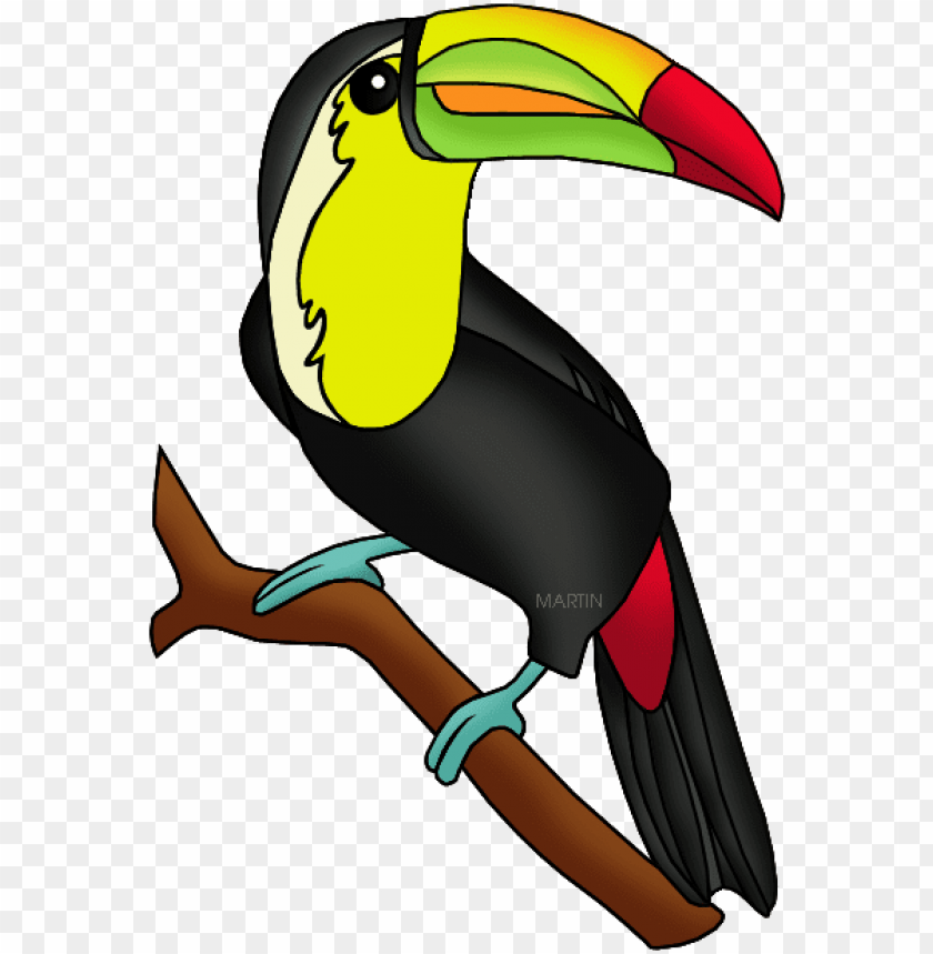 toucan clipart rainforest toucan