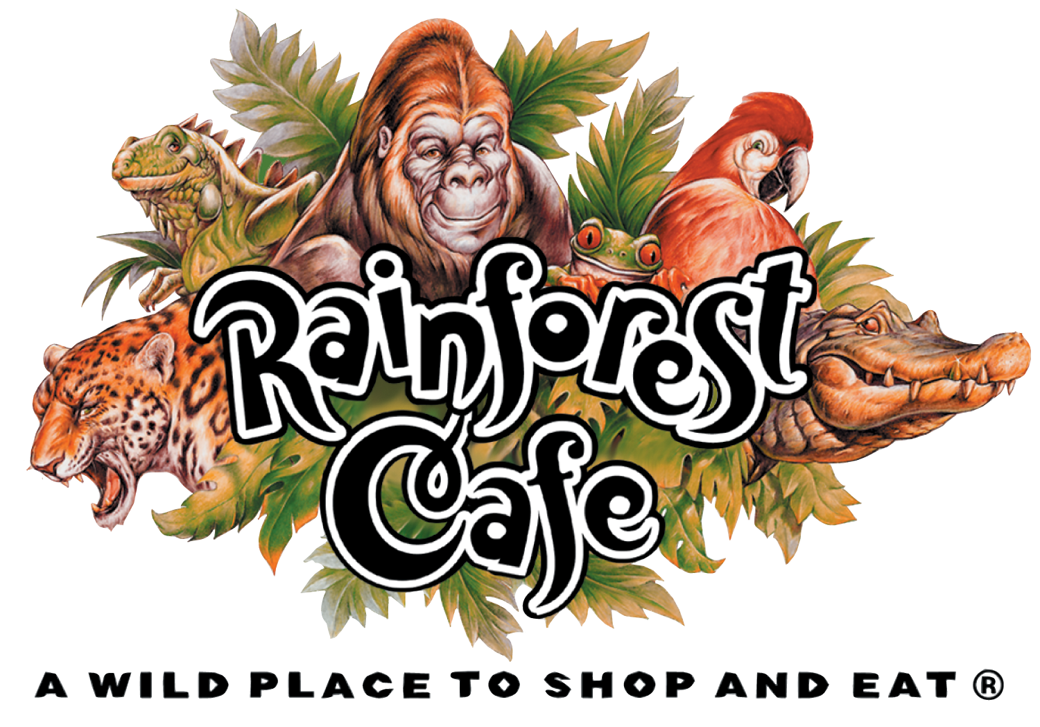 Rainforest clipart rainforest lizard. Access london the cafe