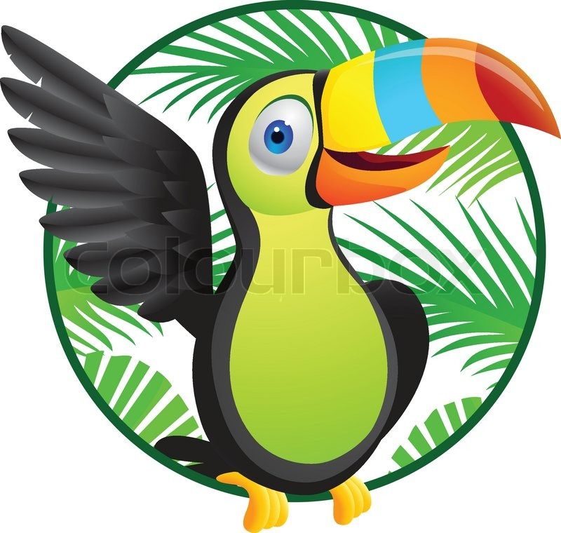toucan clipart rare bird