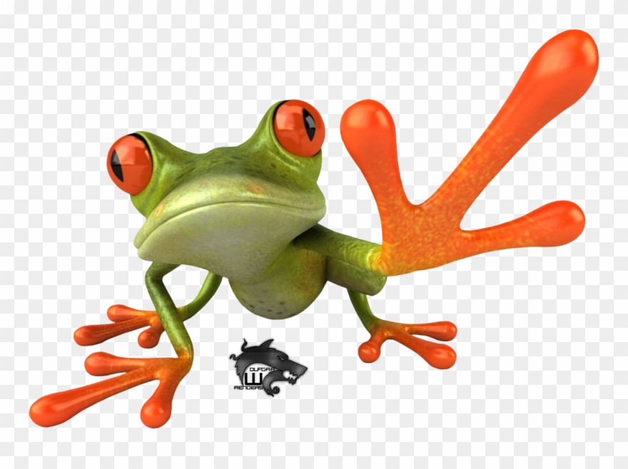 Rainforest clipart red eyed. Tree frog transparent png