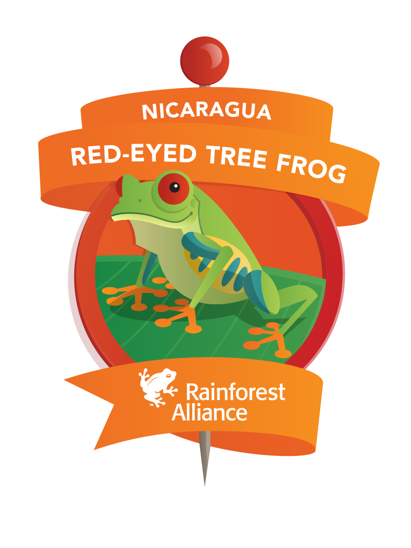 Rainforest clipart red eyed. Habitat nicaragua the game