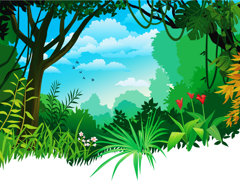 Clipart forest jungle, Clipart forest jungle Transparent FREE for