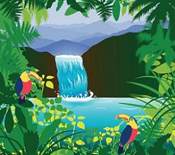 rainforest clipart temperate rainforest