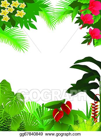 rainforest clipart vector