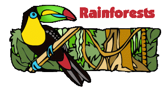 rainforest clipart word