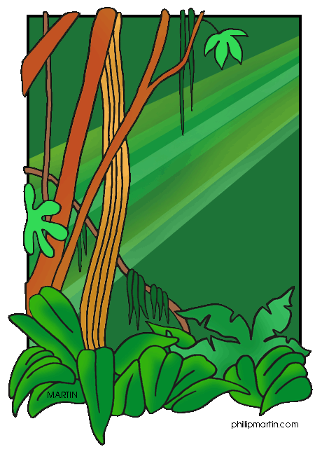 April rain forest