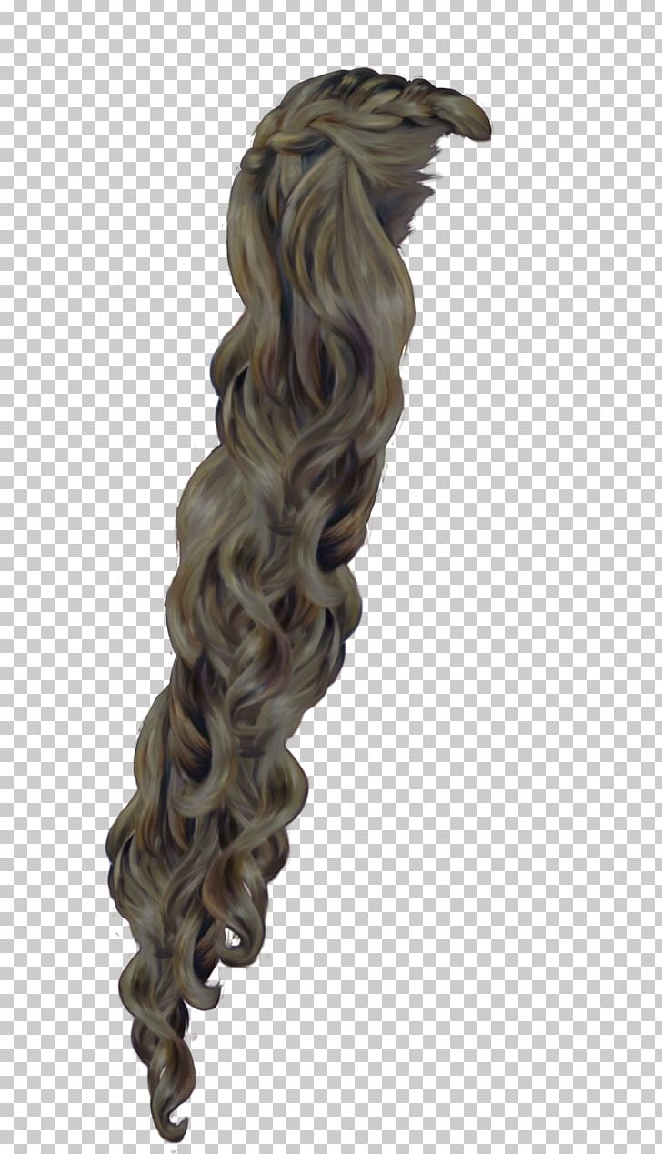 rapunzel clipart long hair
