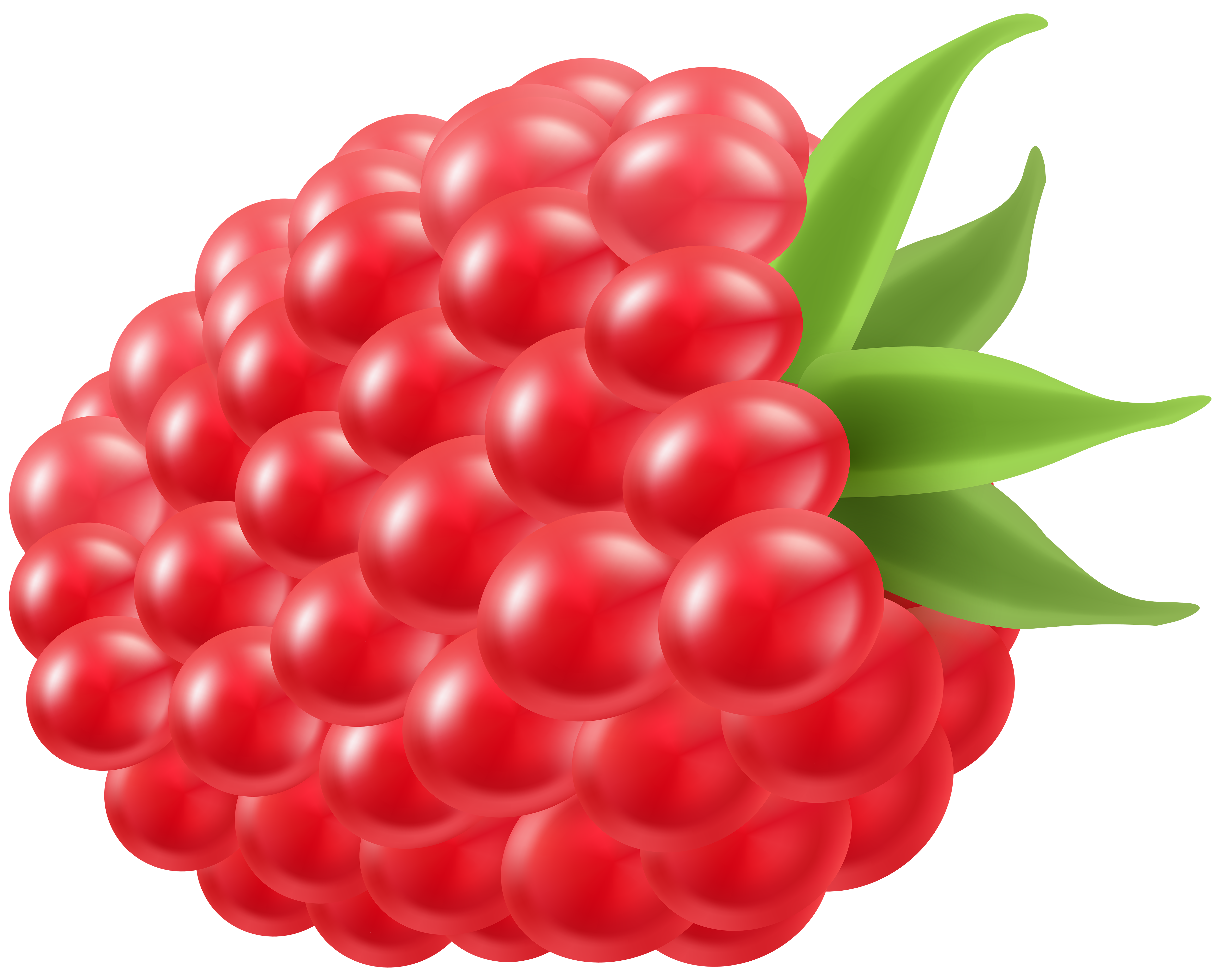 raspberry clipart