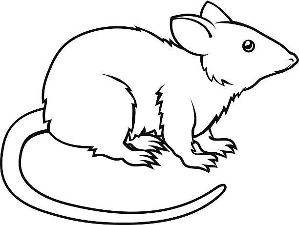 rat clipart black and white