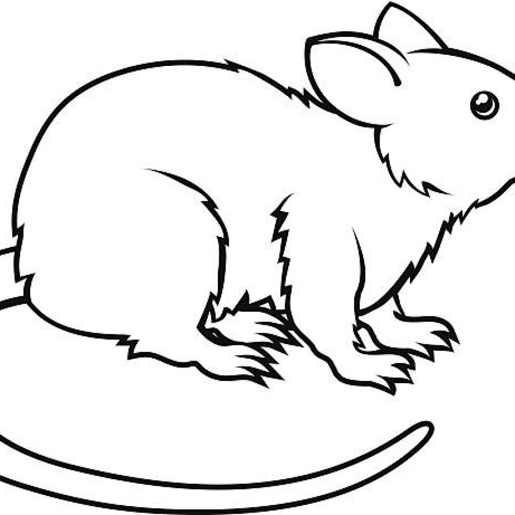 Rat clipart black and white, Rat black and white Transparent FREE for