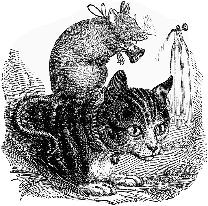 rat clipart cat