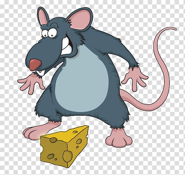 rat clipart cheese