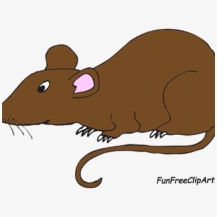 rat clipart cool