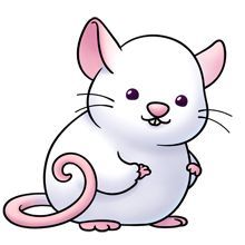 rat clipart cute rat