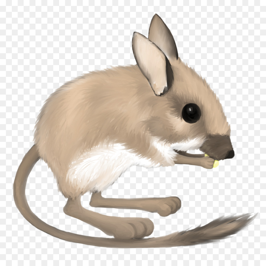 rat clipart desert mouse