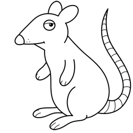 rat clipart drawing