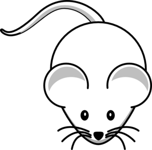 rat clipart drawing