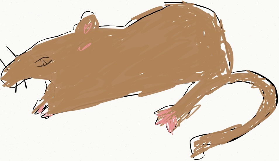 Rat clipart fancy. Art picture cartoon tdkmksan