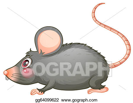 rat clipart gray