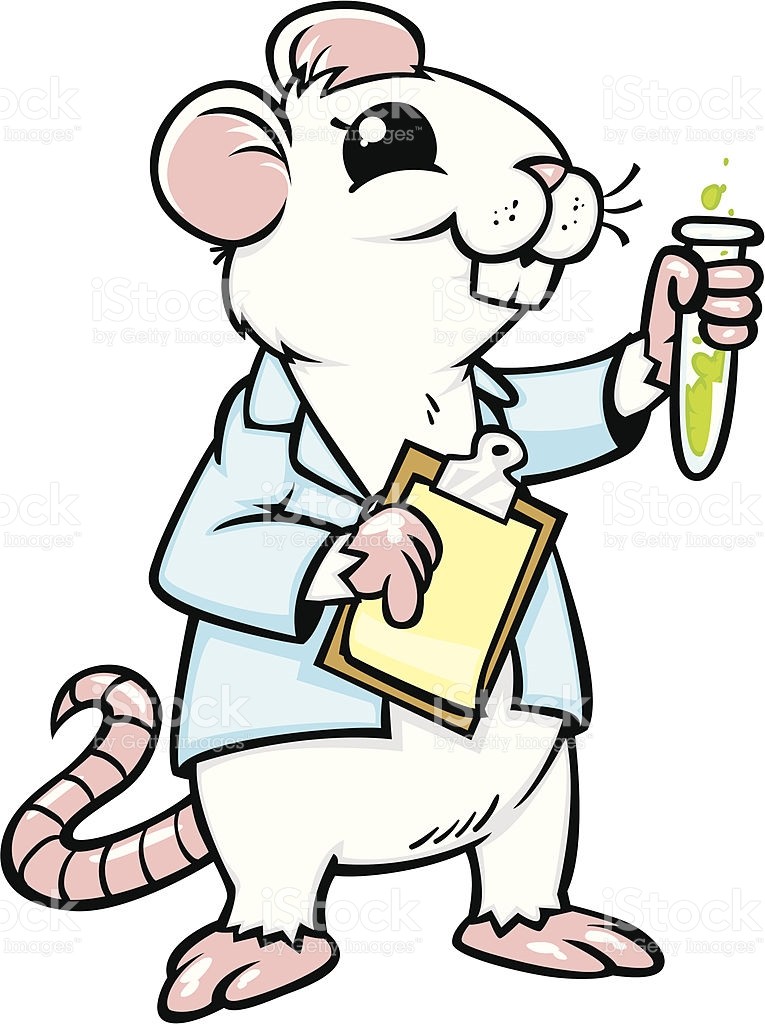 rat clipart lab rat