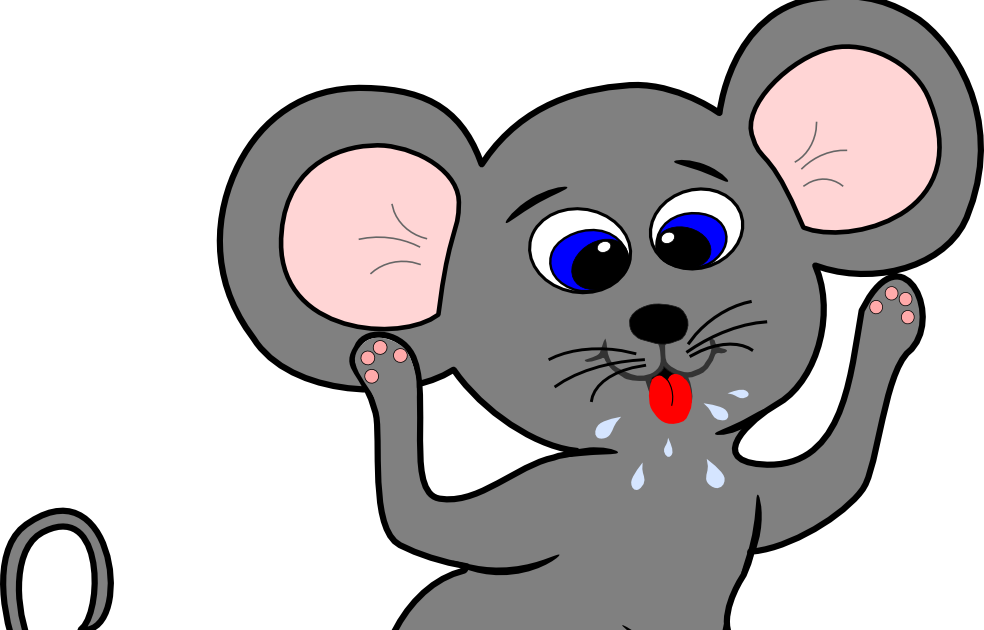rat clipart rat face