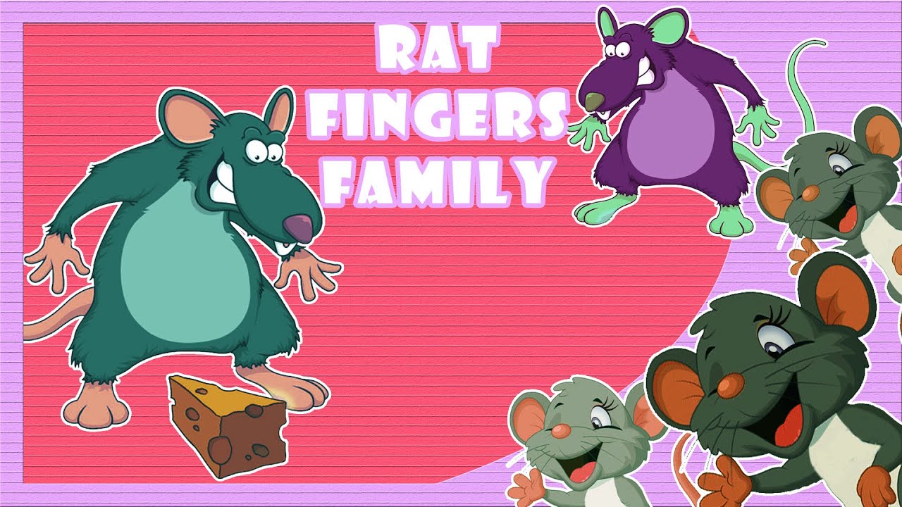 rat clipart rat family