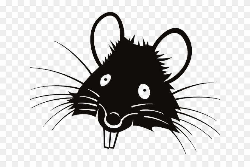 rat clipart rata