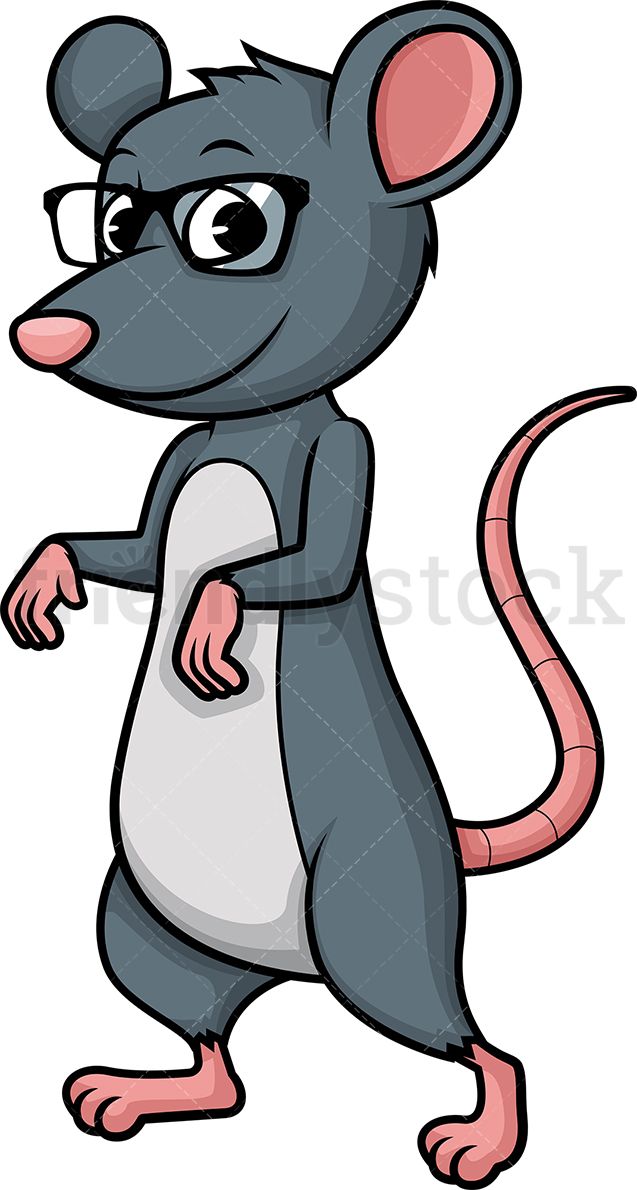 rat clipart standing