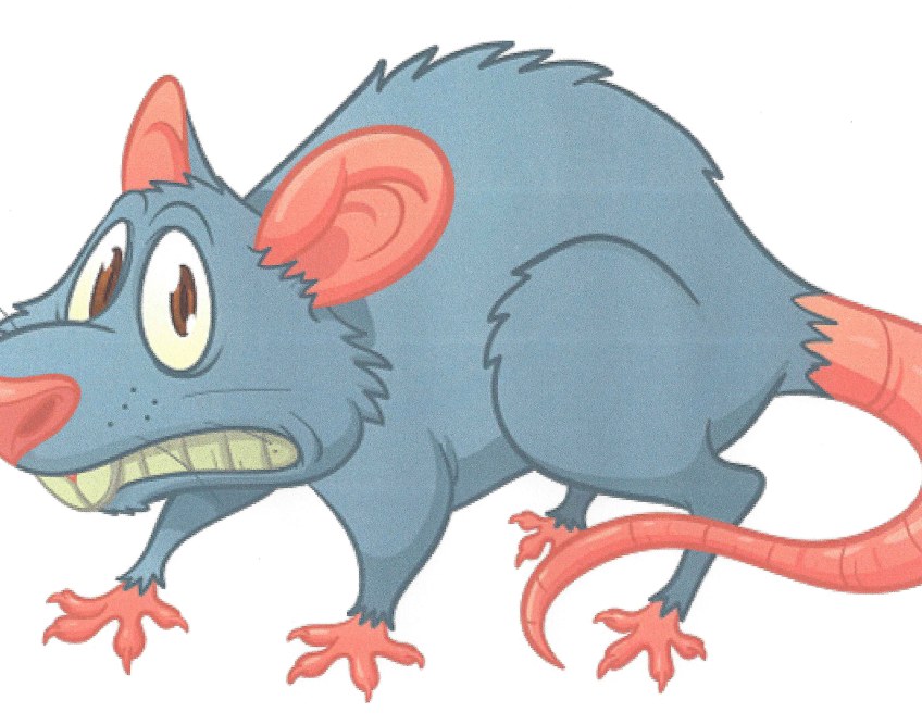 rat clipart stressed