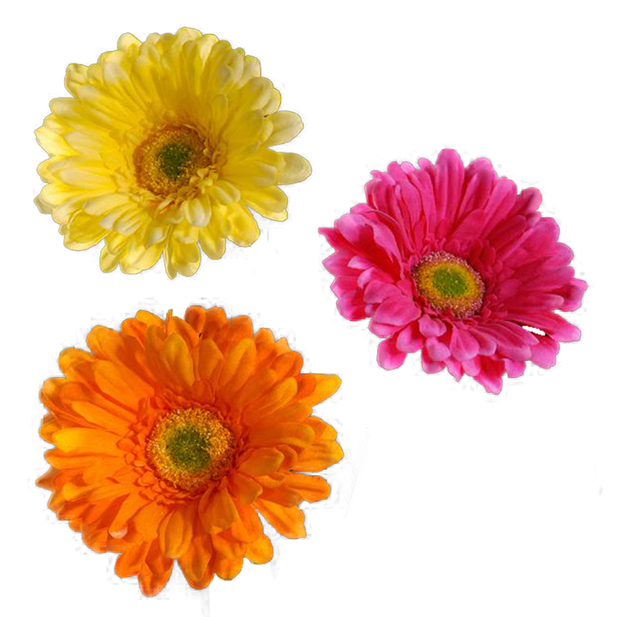 Real flower png. Clip free library
