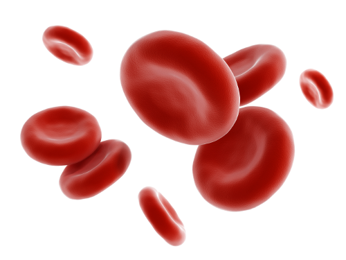 Red blood cells png. Cherry court vet clinic