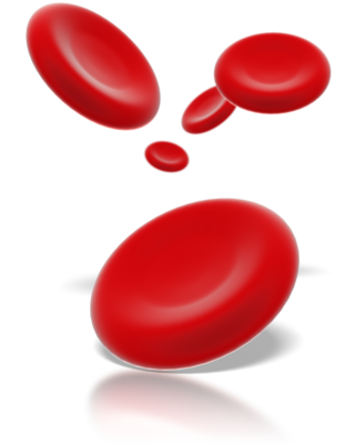 Body cell transparent images. Red blood cells png