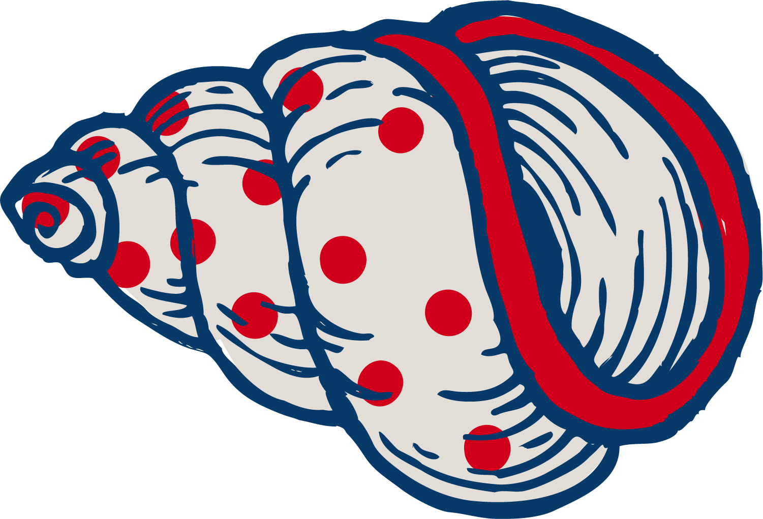 Clip art cartoon snail. Red clipart seashell