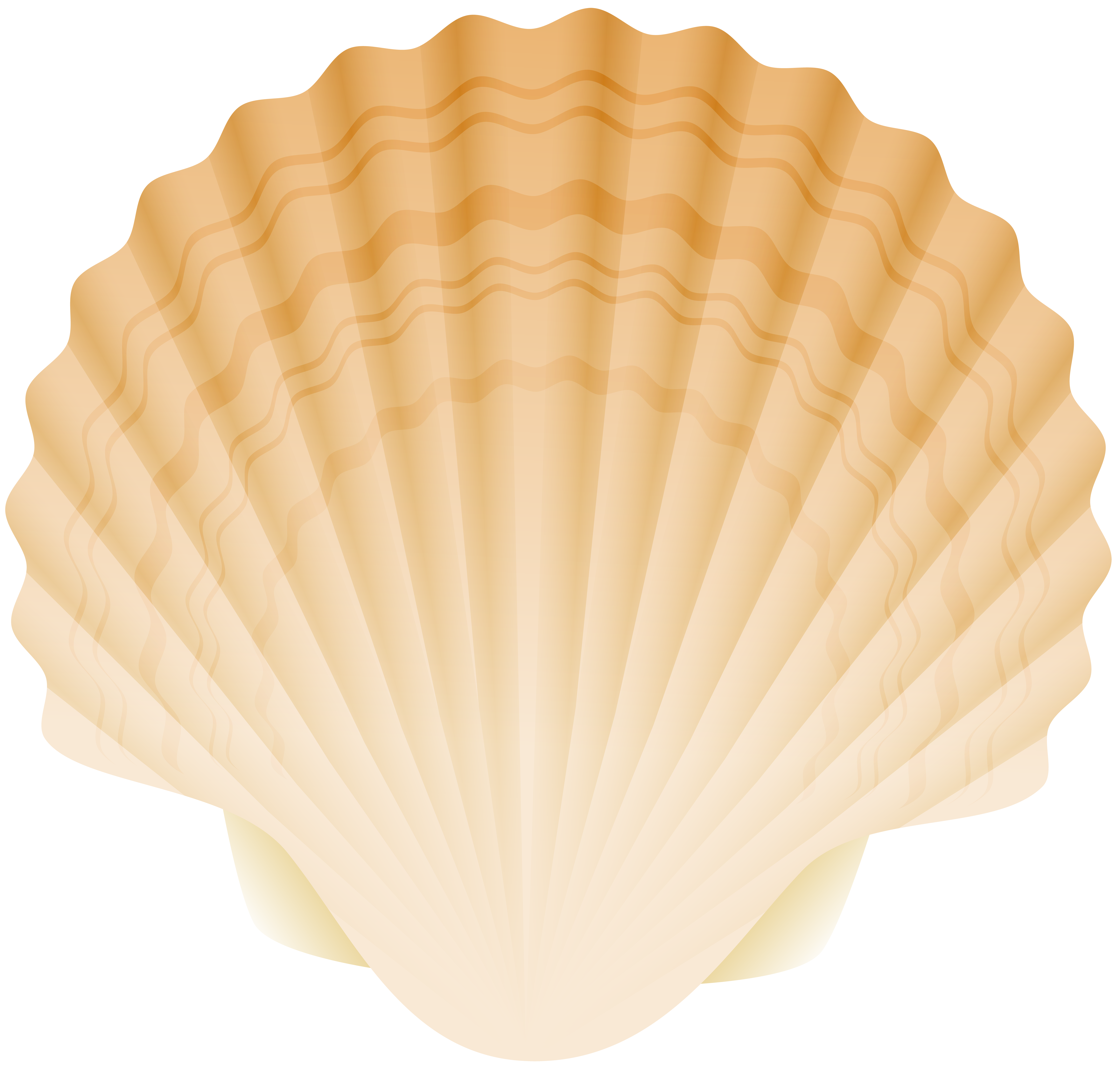 Seashell png clip art. seashells clipart shell scallop clipart, transparent...