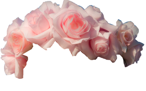 Red flower crown png. Image about cute in