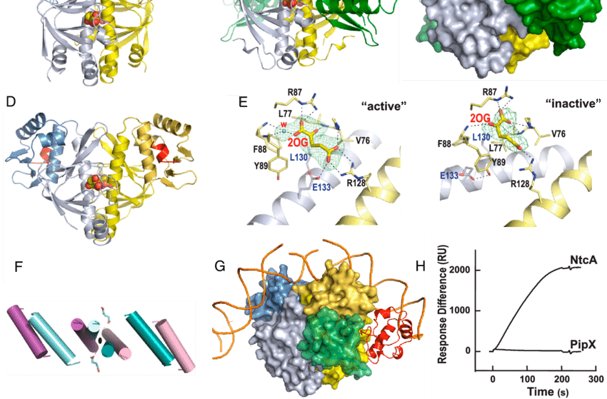 relaxing clipart inactive