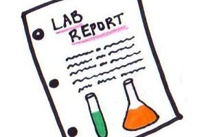 report clipart lab