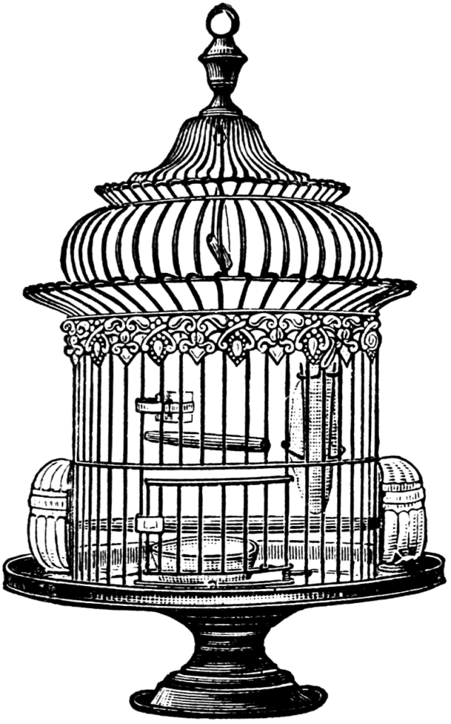 Victorian birdcage free collection. Retro clipart drawing