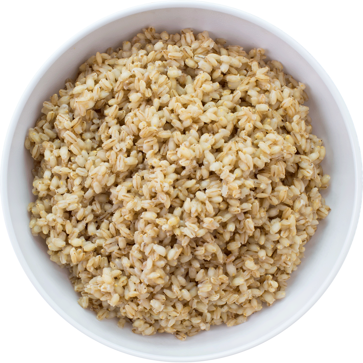rice clipart cooked rice