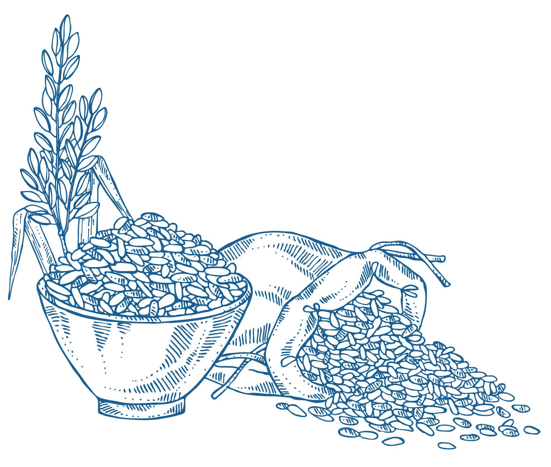 rice clipart plate drawing