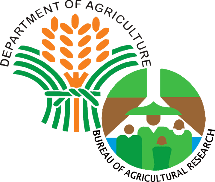 Rcm ph v international. Rice clipart rice cultivation