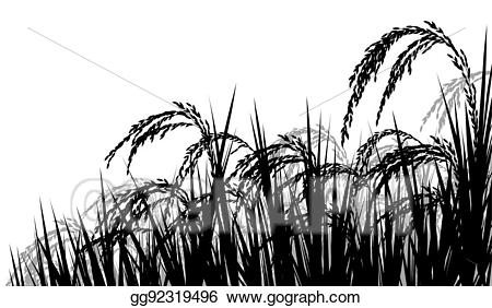 Rice clipart rice harvest. Vector art ripe for