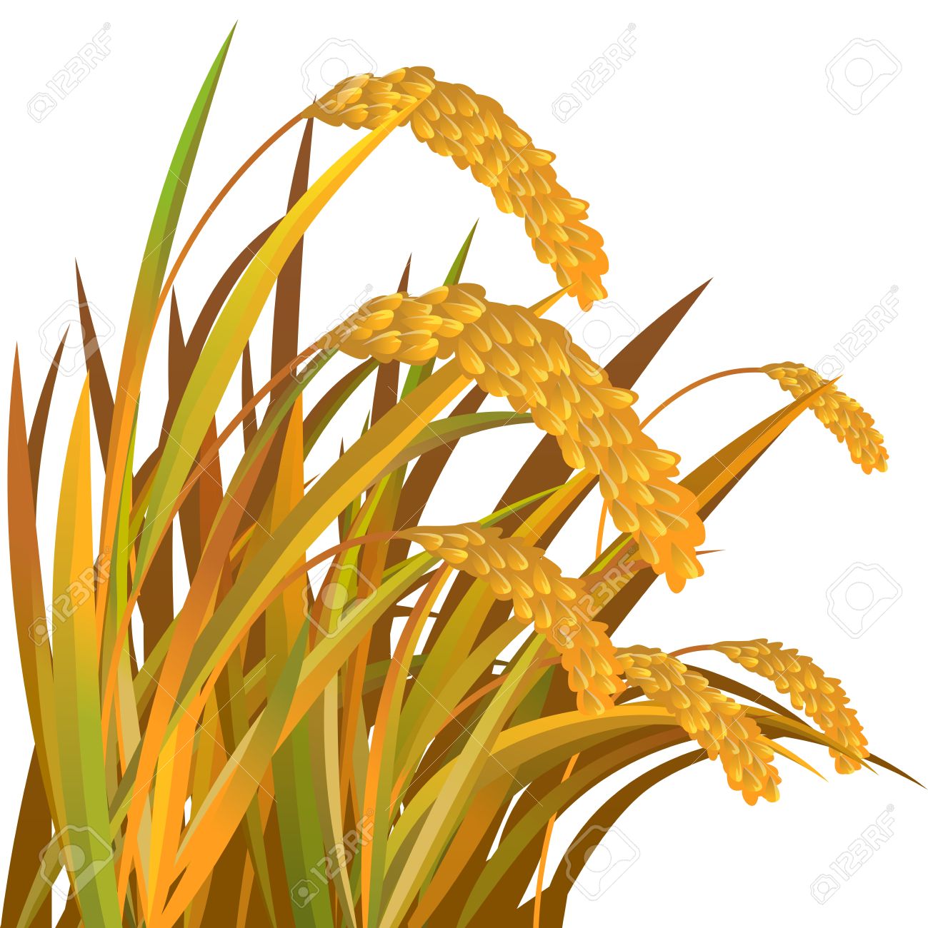 rice clipart rice straw clipart, transparent - 188.04Kb 1299x1300.