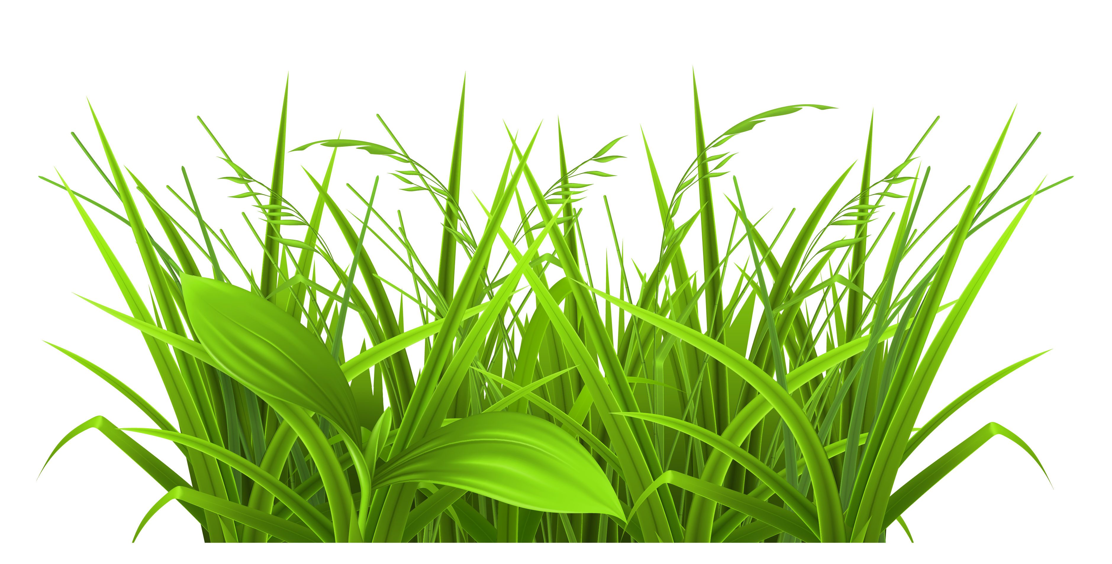 rice clipart sweetgrass
