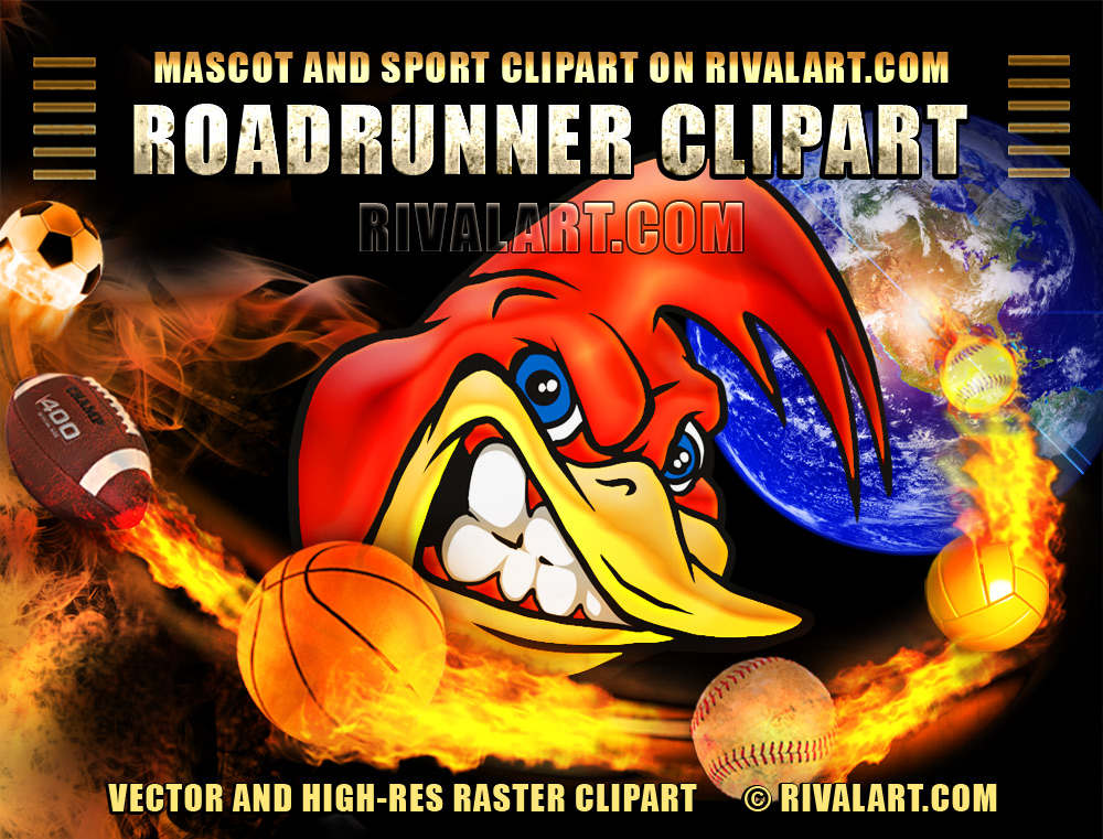 roadrunner clipart mascot