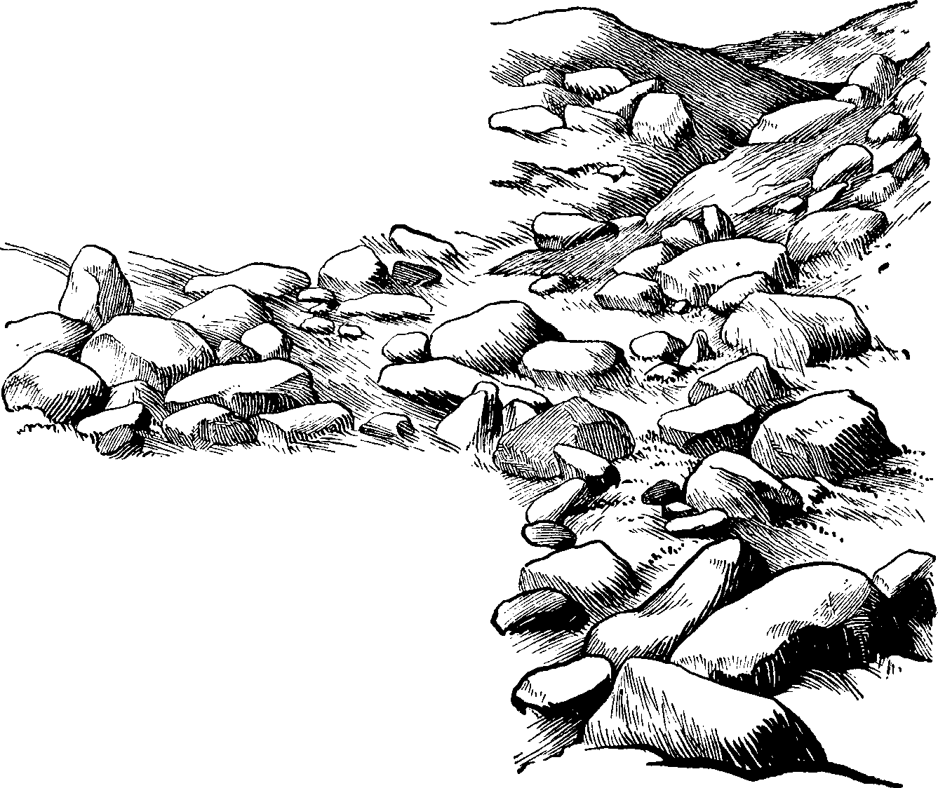 Stone panda free images. Rock clipart drawing